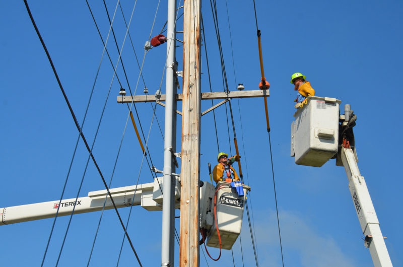 lineworkers working on power poles